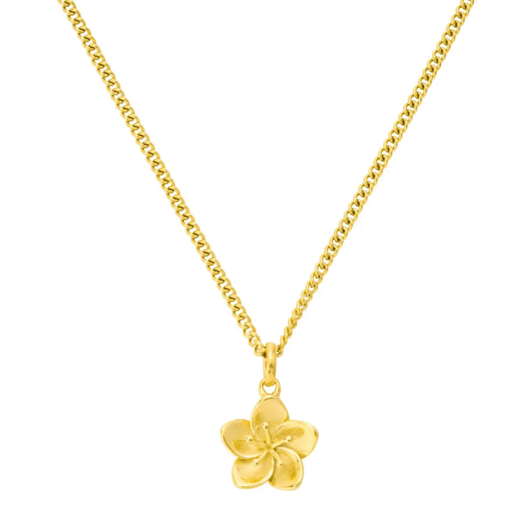 EVRY JEWELS Gold or Silver Plated Women'S Hypoallergenic Coastal Crush Necklace Collection