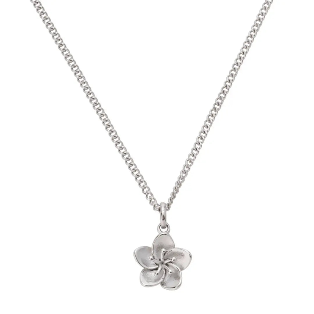 EVRY JEWELS Gold or Silver Plated Women'S Hypoallergenic Coastal Crush Necklace Collection